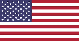 american flag-Good Year